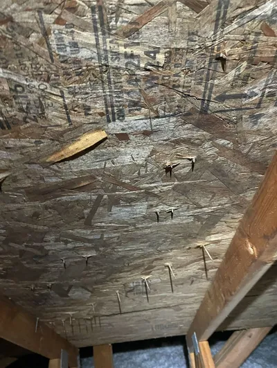 Clean attic roof sheathing after professional sanitation