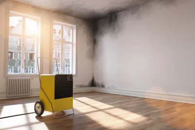 Dehumidifier running in moisture-damaged area during mold remediation