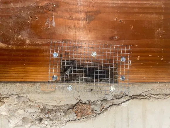 Steel mesh installed over foundation vent to prevent rodent entry